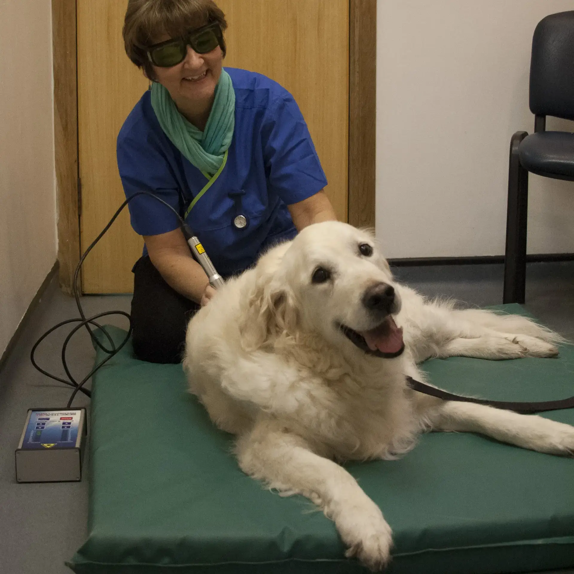 Dalblair Vets Rehabilitation