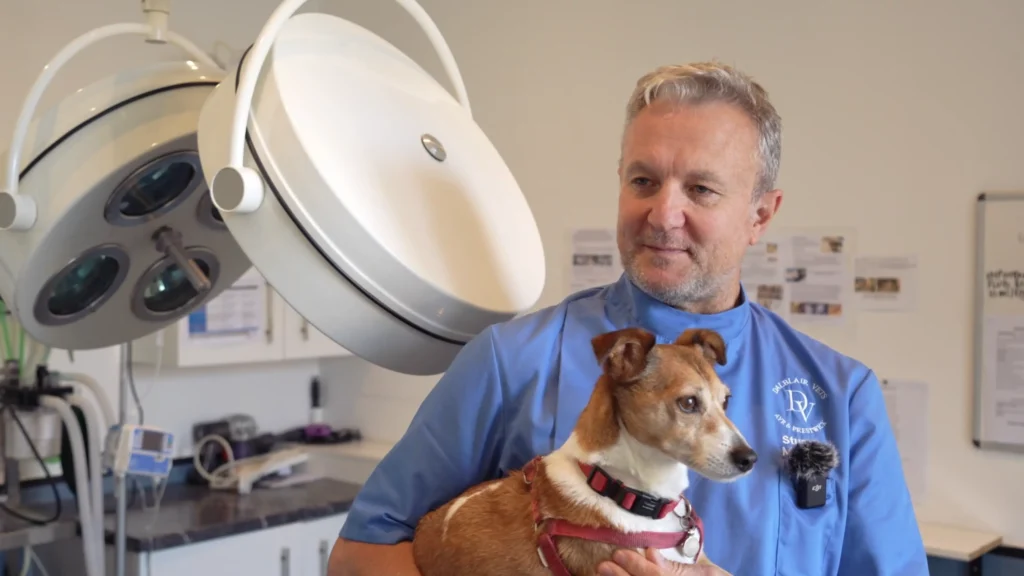 Our Team | Dalblair Veterinary Surgery